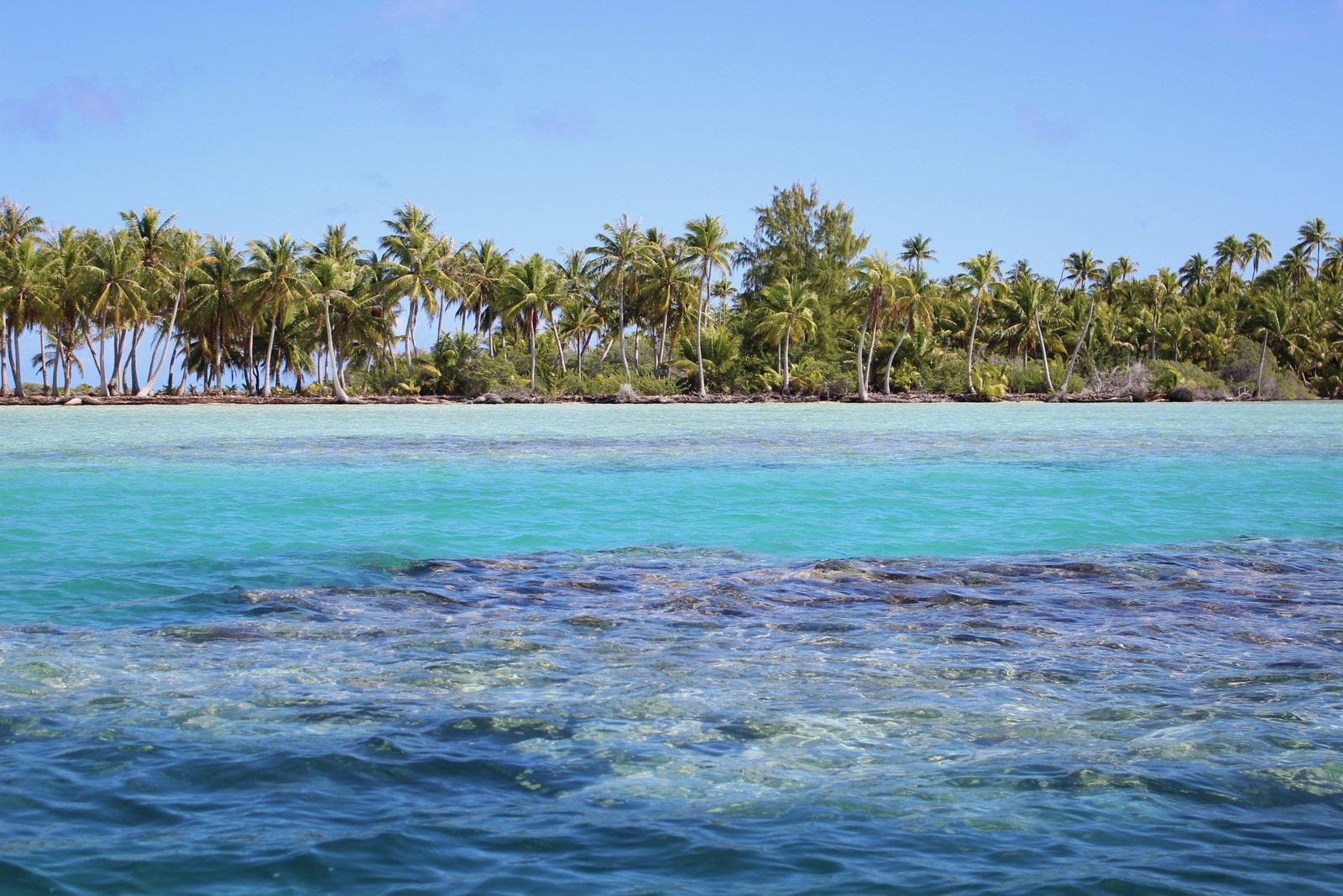Shallow turquoise lagoon water over pale coral heads, running out to a low island fringed with coconut palms along the far shore