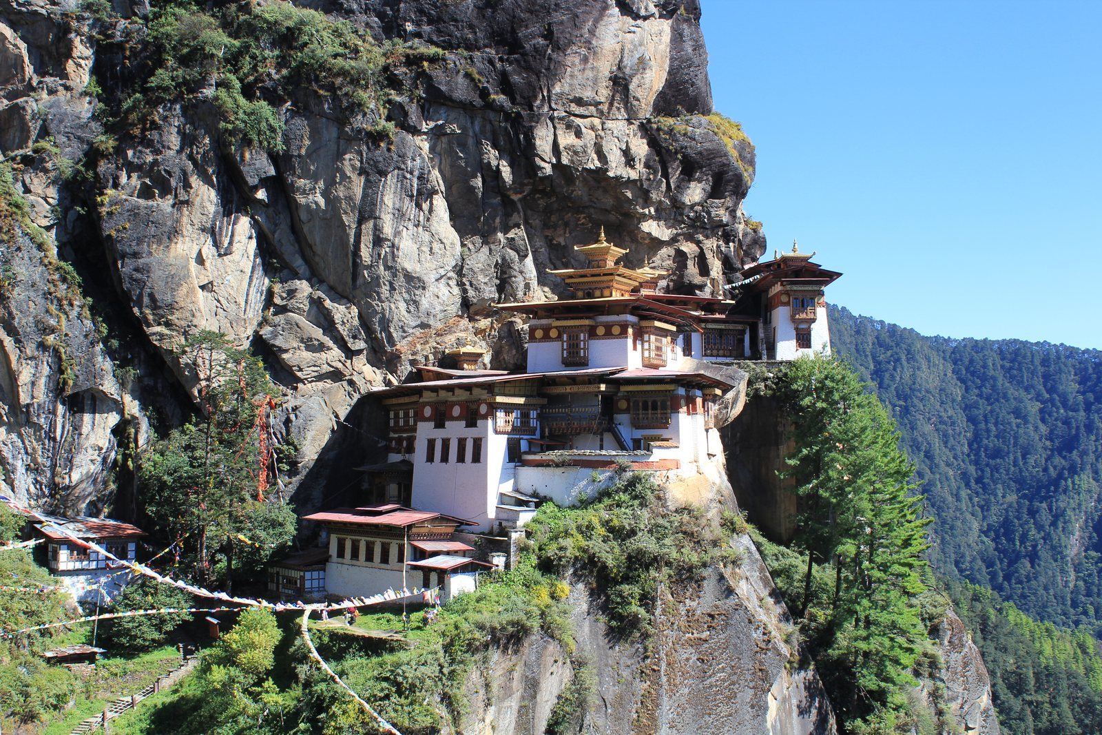 White-walled buildings with gold-tipped roofs built onto ledges of a sheer grey cliff, prayer flags strung across the foreground